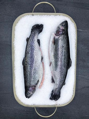 Rainbow Trout Whole Vac Pack