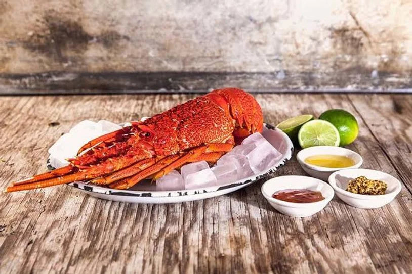 Large Southern Rock Lobster - Cooked (Whole) 800g - 1.1KG