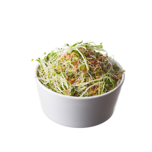 Salads