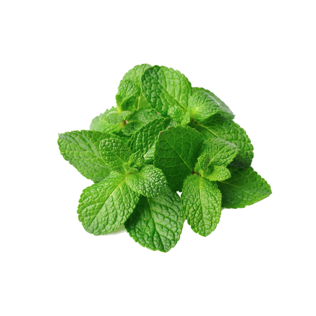 Mint