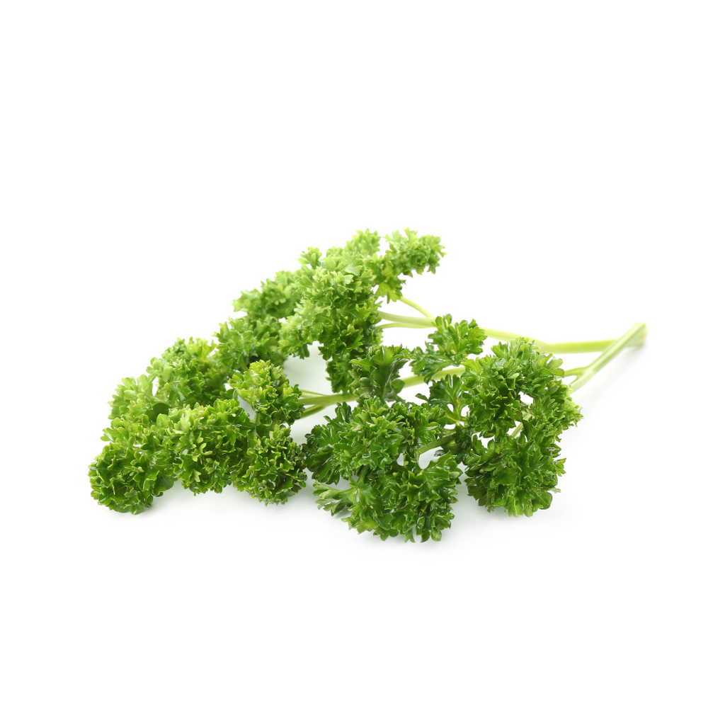 Parsley - Curly