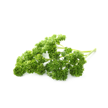 Parsley - Curly